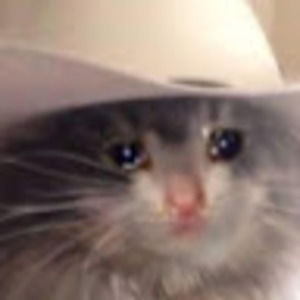 Meet your Posher, Annabel